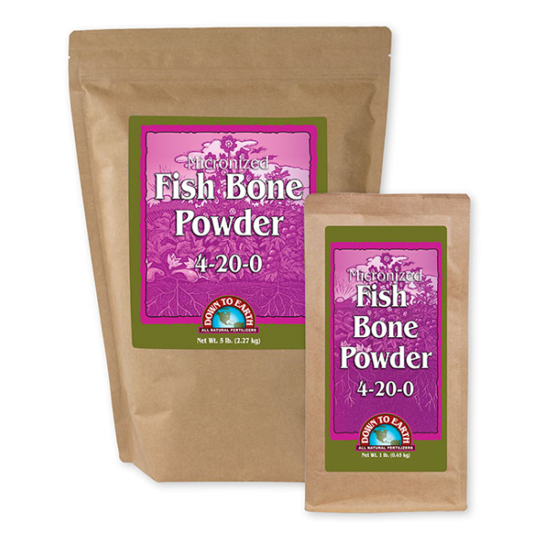Fish Bone Powder