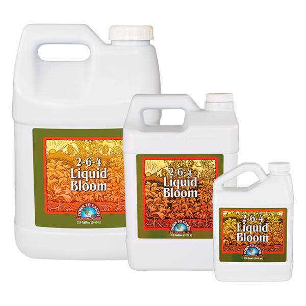Liquid Bloom 2-6-4