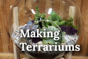 Blog Pic Template 2021