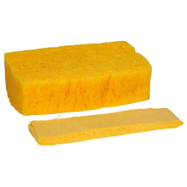 Sponge Compressed Large