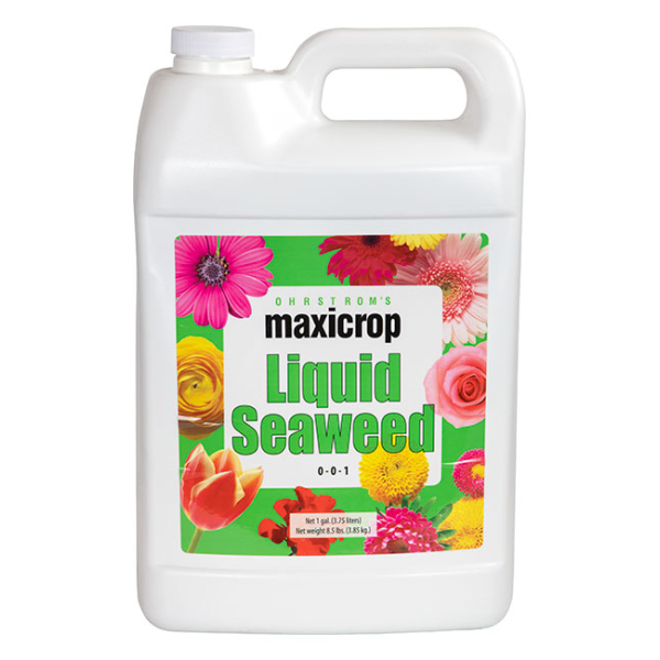 Maxicrop Liquid 1 Gallon