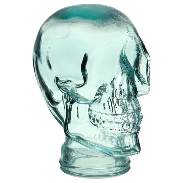 Head Skull Glass