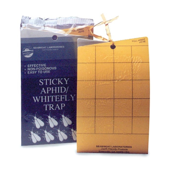 Sticky Whitefly Trap 5 pack