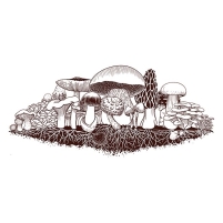 Tumbler Vintage Botanical Mushroom 15 oz