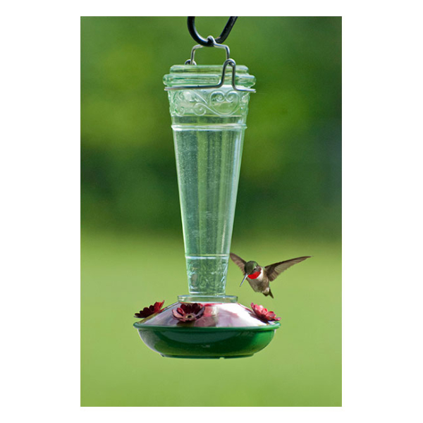 Hummingbird Feeder Glass 8 oz