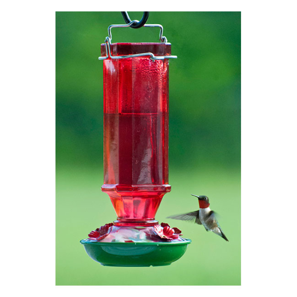 Hummingbird Feeder Red Glass 16 oz