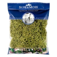 Moss Spanish 4 oz Chartreuse