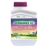 Ecoworks Neem Oil 16 oz