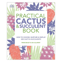 Practical Cactus and Succulent