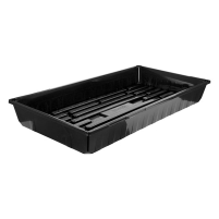 10-Cell Silicone Seedling Tray Canyon Red