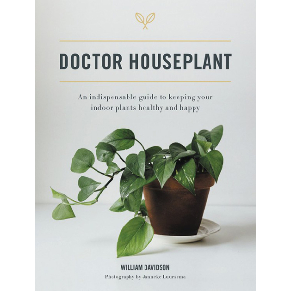 Book Doctor Houseplant