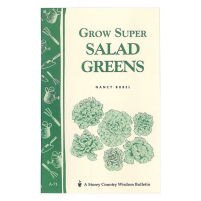 CWB Growing Salad Greens