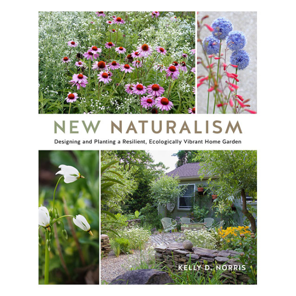 New Naturalism