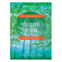 Shinrin Yoku: The Japanese Art