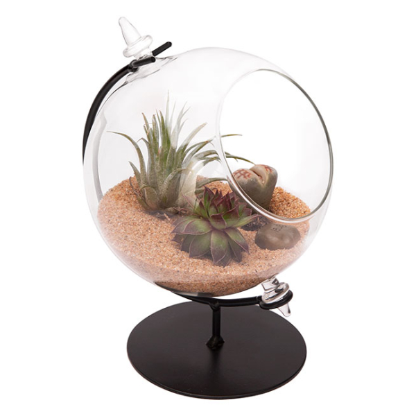 Glass Terrarium Planter with Metal Stand