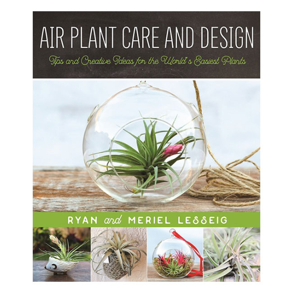 Book Air Plant Care and Design