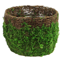 Vineyard/Green Deco Basket Large