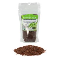 Sprout Seeds Buckwheat 4 oz