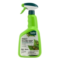 Safer Insect Soap 32 oz RTU