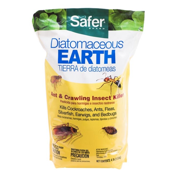 Safer Ant & Insect Killer 4 lb