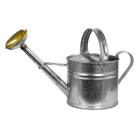 Watering Can Galvanized 4 Liter