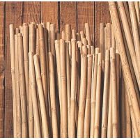 Bamboo Stake 8′ x 1″