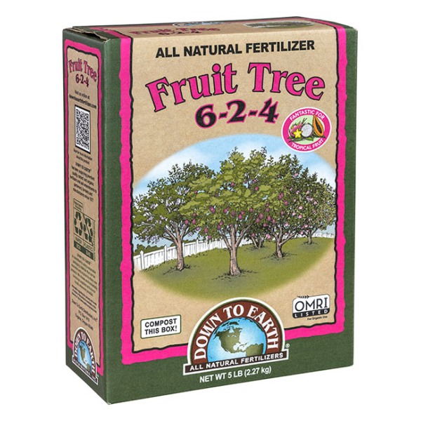 Fruit Tree 6-2-4