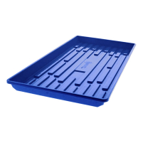Seed Tray Shallow Blue