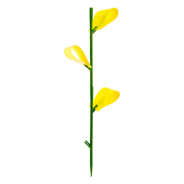 HOUSEPLANT STICKY STAKES - Image 2
