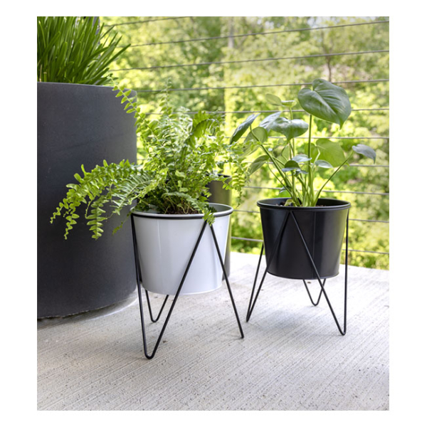 Wire Stand With 8″ Planter