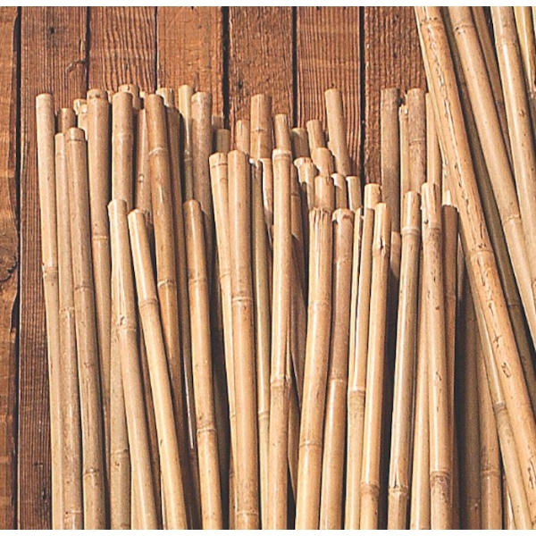 Bamboo Stake 4′ x 1/2″