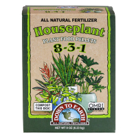 Houseplant 8-3-1