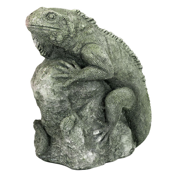 Statue Concrete Iguana - Image 4