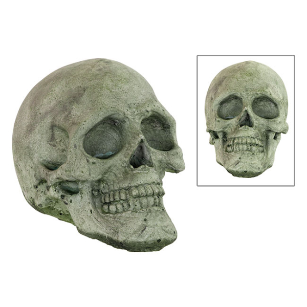 Statue Concrete Skull