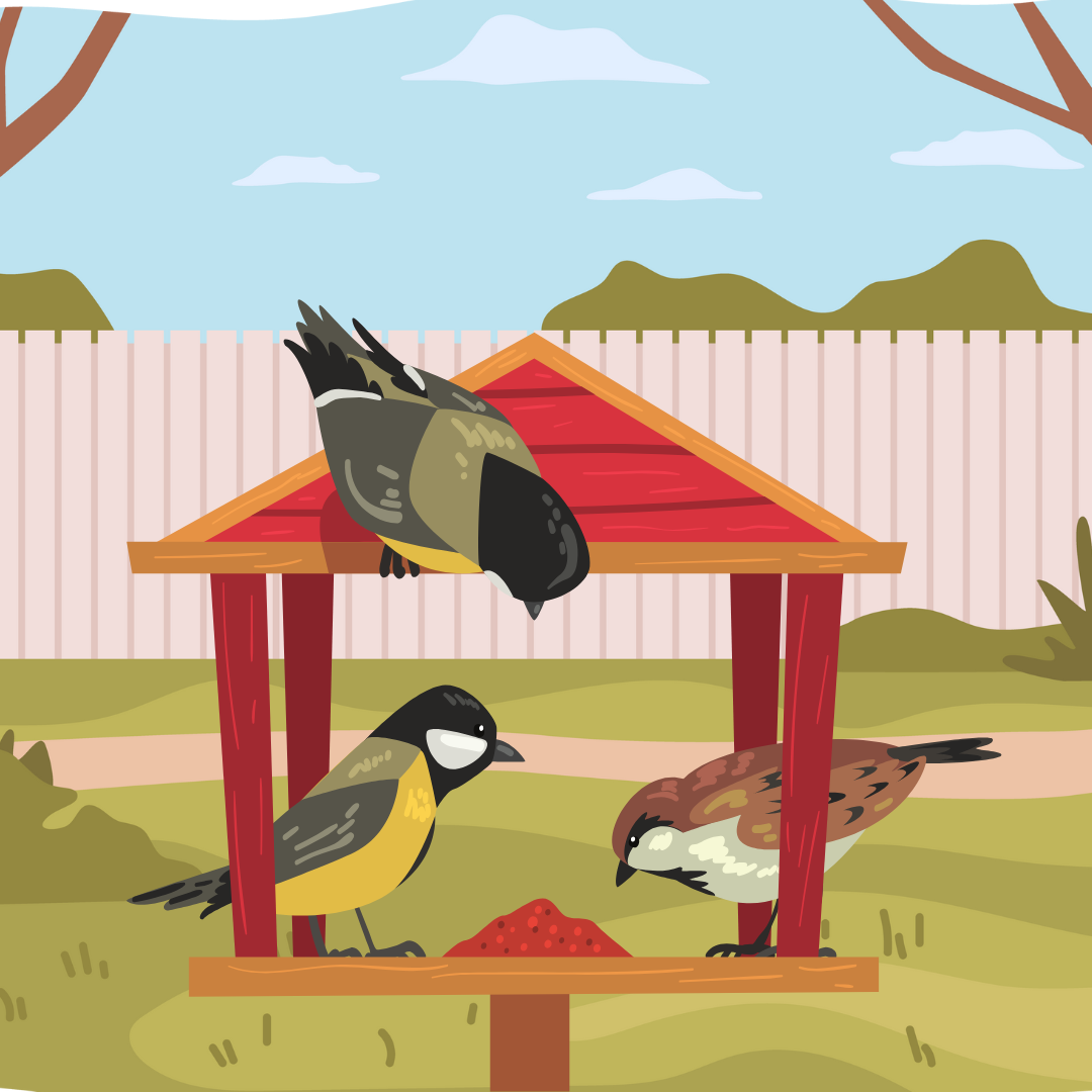 birds at the feeder