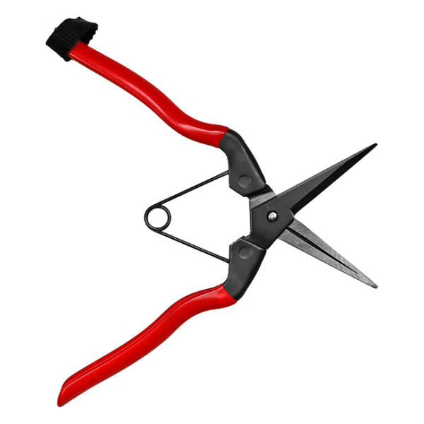 GT Needlenose Pruner - Image 2