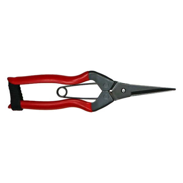 GT Needlenose Pruner