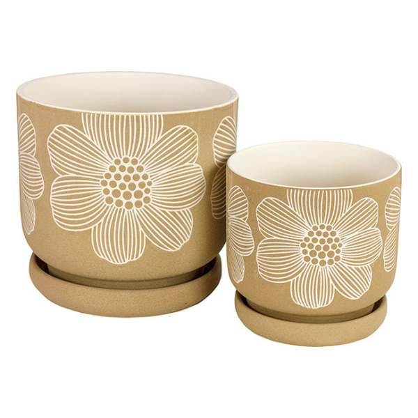 Indoor Pot with Saucer Flowers
