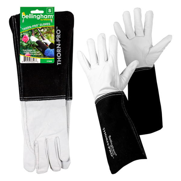 Glove Thorn Pro Gauntlet
