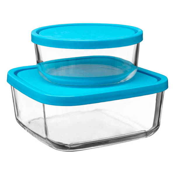 Frigoverre Glass Storage Dishes Set of 2