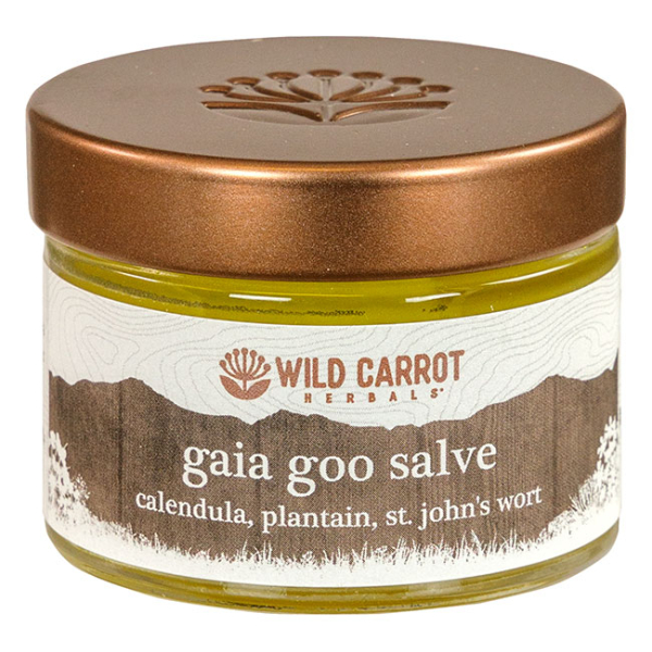 Wild Carrot Gaia Goo Salve - Image 2