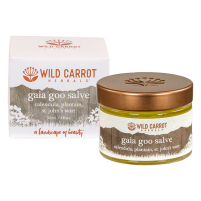 Wild Carrot Gaia Goo Salve