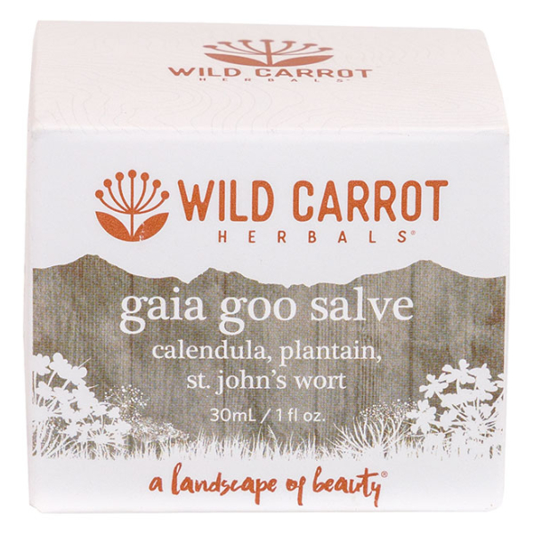 Wild Carrot Gaia Goo Salve - Image 3